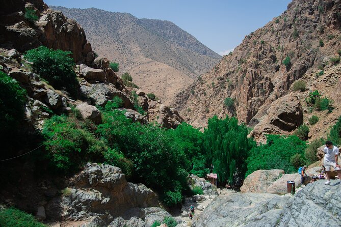 Day trip - Atlas Mountains Ourika Valley Waterfall From Marrakech - Timing, group size, and what to bring