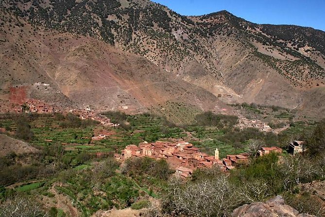 Day Trip:Berber Villages and 4 Valleys Atlas Mountains &Waterfu l& camel Ride - A Camel Ride in Moulay Brahim Gorge