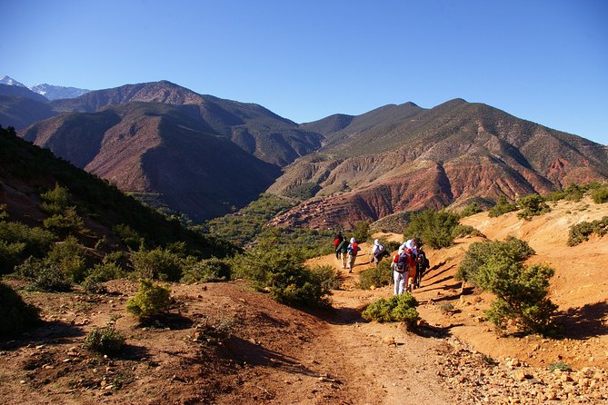 Day Trip:Berber Villages and 4 Valleys Atlas Mountains &Waterfu l& camel Ride - Should You Book It?