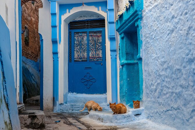 Day Trip From Fes to Chefchaouen - Four hours in the Blue City