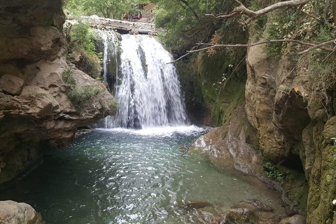 Day Trip From Fes to Chefchaouen - What the small group and flexible schedule really mean