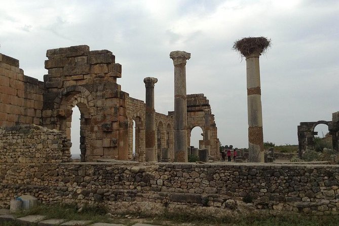 Day trip from Fes to Volubilis Moulay Idriss & Meknes - Meknes: two hours among imperial gates and old walls