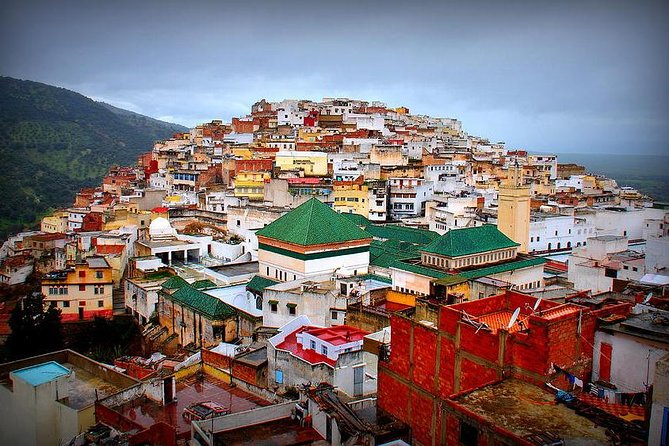 Day trip from Fes to Volubilis Moulay Idriss & Meknes - What the driver service really provides