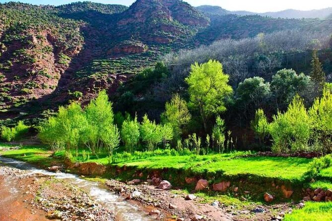 Day Trip from Marrakech Explore the Atlas Mountains and 4 Valleys - Why this Atlas route works from Marrakech