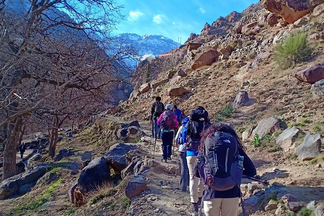 Day trip from Marrakech to atlas mountains & Berber village hike - Guides, pacing, and group size