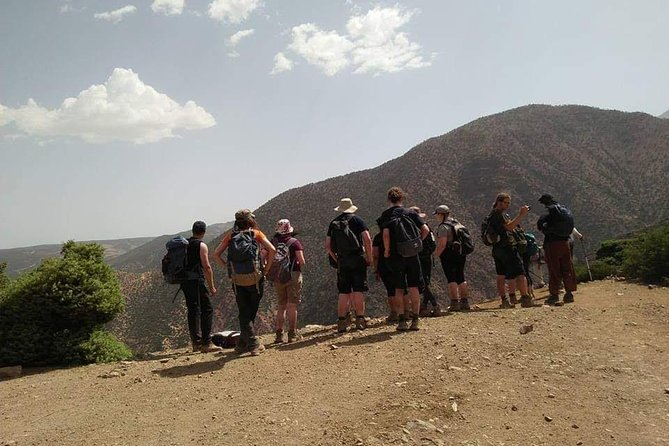 Day trip from Marrakech to atlas mountains & Berber village hike - Is $34.99 good value?