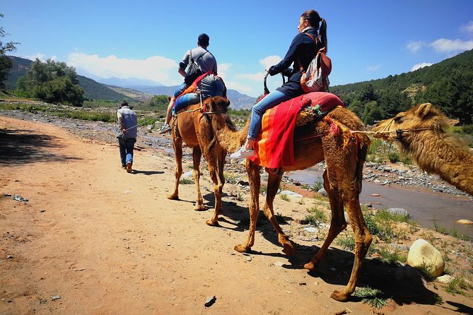 Day trip to Atlas mountains waterfall & Agafay camel Ride experience - Key points to know before booking