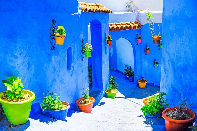 Day Trip to Chefchaouen and Tetouan - Why this Tangier day trip works