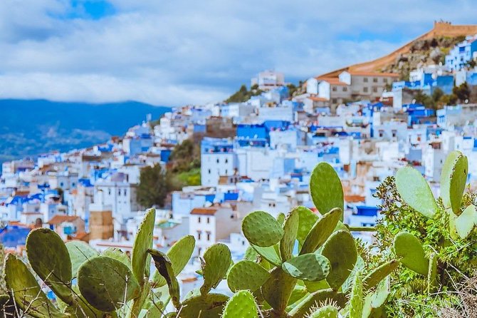 Day Trip to Chefchaouen and Tetouan - What the $69.79 price really covers