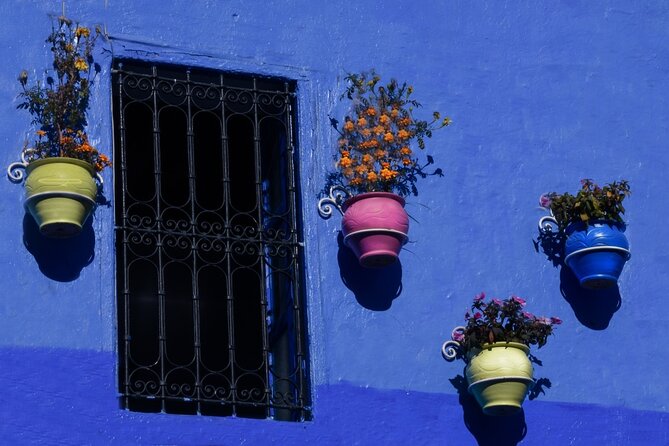 Day Trip to Chefchaouen From Fez with Local Expert - Is $23.26 a good price?