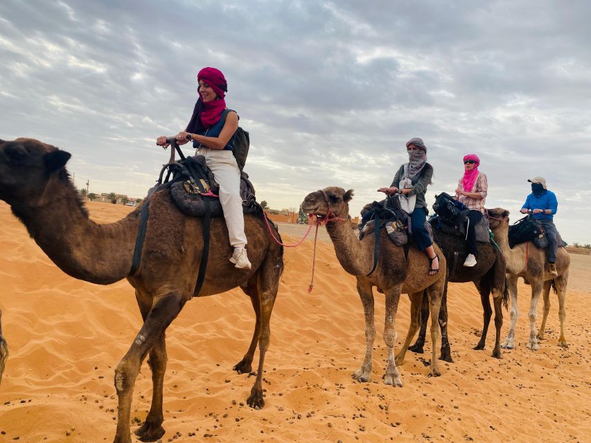 Day trip to Essaouira - Who should book this day trip?