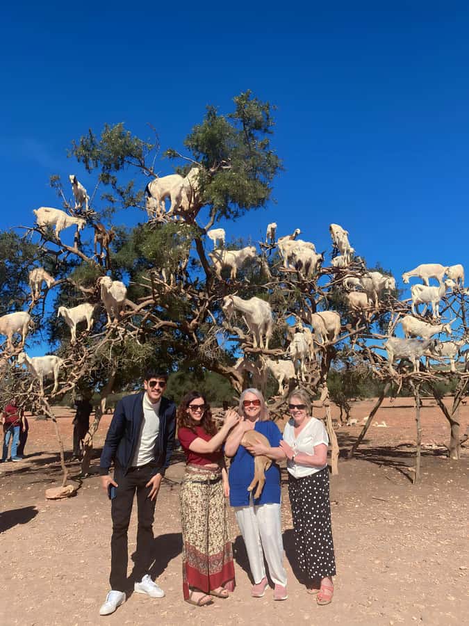 Day trip to Essaouira - The argan oil cooperative and the goat-tree stop