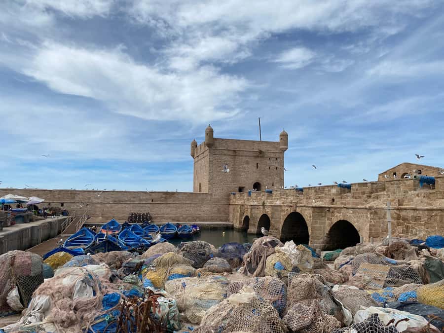 Day trip to Essaouira - Wandering the old Medina and souks