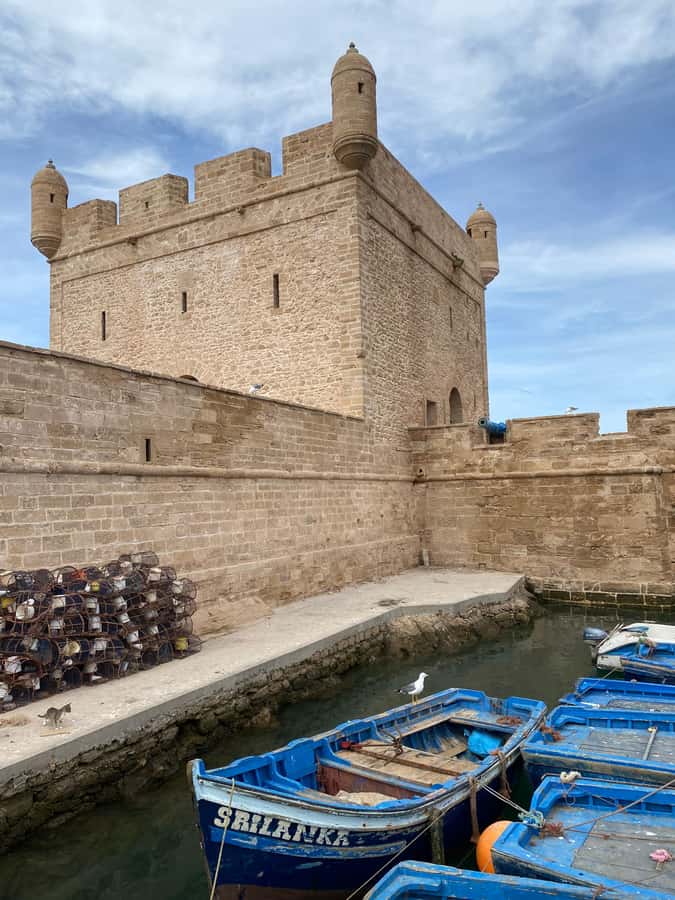Day trip to Essaouira - The beach and the Atlantic change of pace