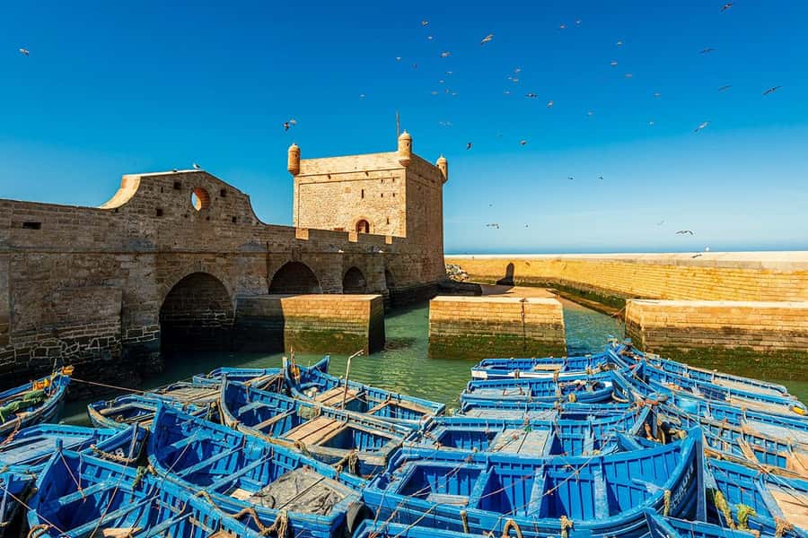 Day Trip To Essaouira From Marrakech With Guide - Key points at a glance