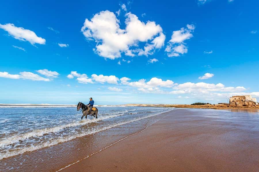 Day Trip To Essaouira From Marrakech With Guide - Four hours to choose your own Essaouira
