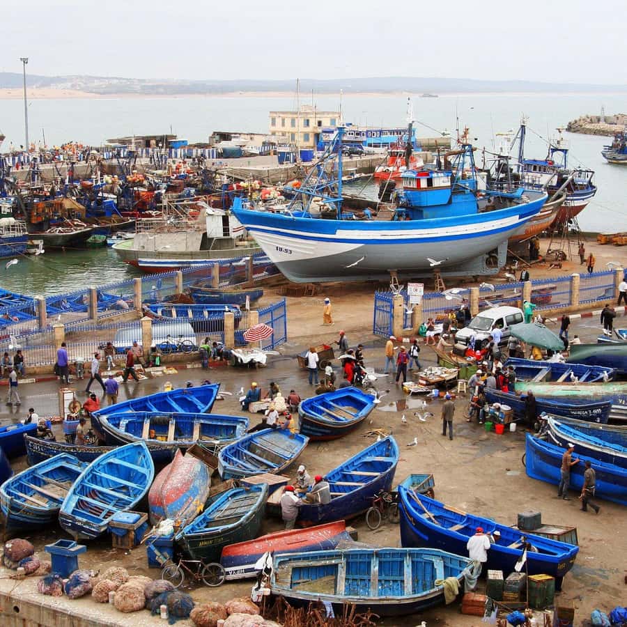 Day Trip To Essaouira From Marrakech With Guide - Morning pickup and the road west