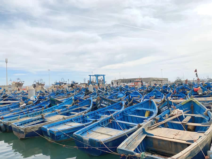 Day trip to Essaouira - The morning drive west from the Medina