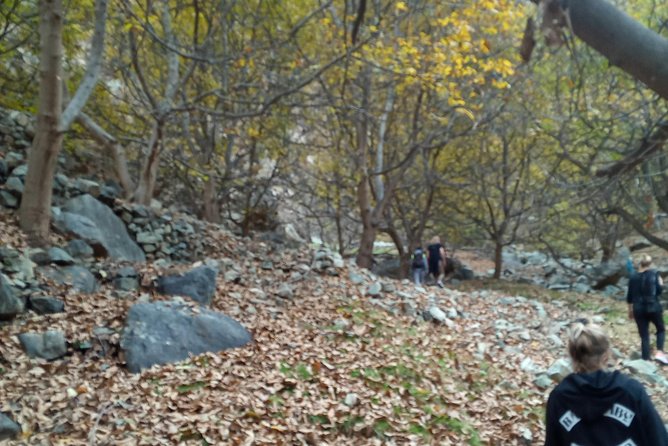 Day Trip to Ourika Valley and Atlas Mountains - Practical details before you book