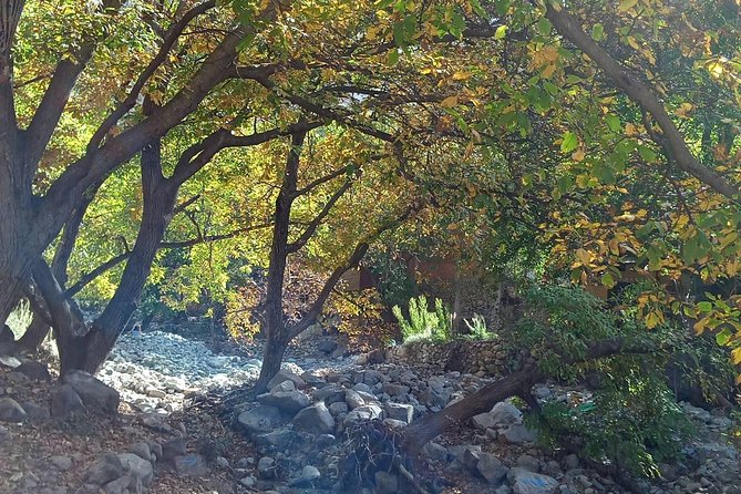 Day Trip to Ourika Valley and Atlas Mountains - Walking to the Ourika waterfalls