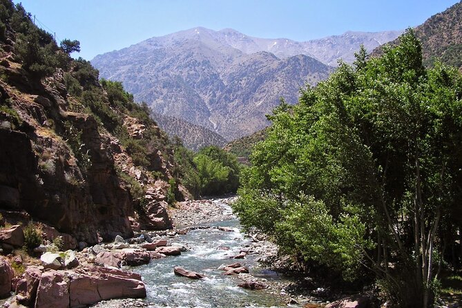 Day Trip to Ourika Valley & Atlas Mountains from Marrakech - Lunch with a view of the river