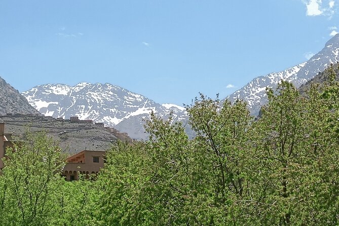 Day Trip to Ourika Valley from Marrakech - Why Ourika Valley works as a Marrakech day trip