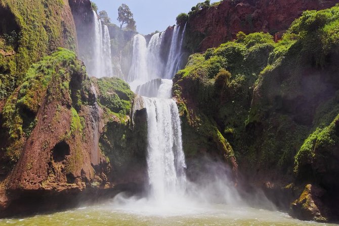 Day Trip to Ouzoud WaterFalls from Marrakech: Shared - The descent through olive trees