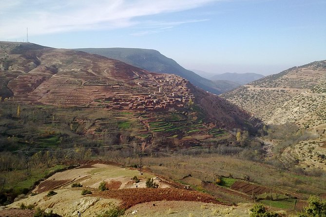 Day Trip to Ouzoud WaterFalls from Marrakech: Shared - What the local guide adds