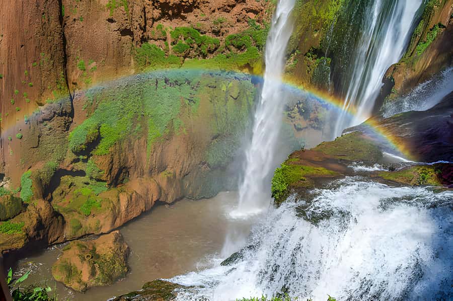 Day Trip To Ouzoud Waterfalls (Guide Hik & Boat option) - Walking beneath the olive trees
