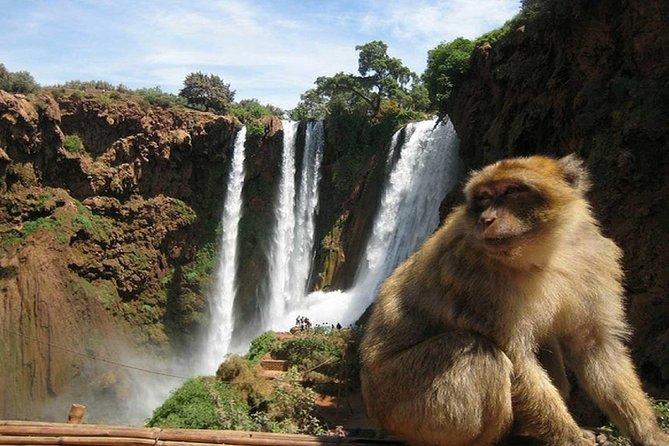 Day Trip To Ouzoud Waterfalls (Guide Hike & Boat are options) - The €2 boat ride below the falls