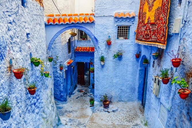 Day Trip Transport from Fes to Chefchaouen (The Blue City) - Where the trip may disappoint