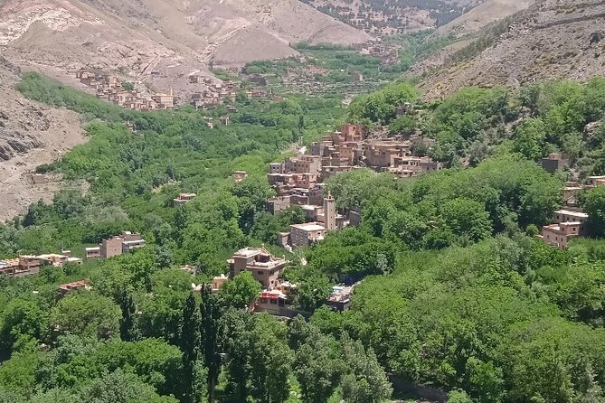 De Marrakech: Visite des montagnes de l'Atlas avec un guide - The argan-oil cooperative and the first taste of Morocco