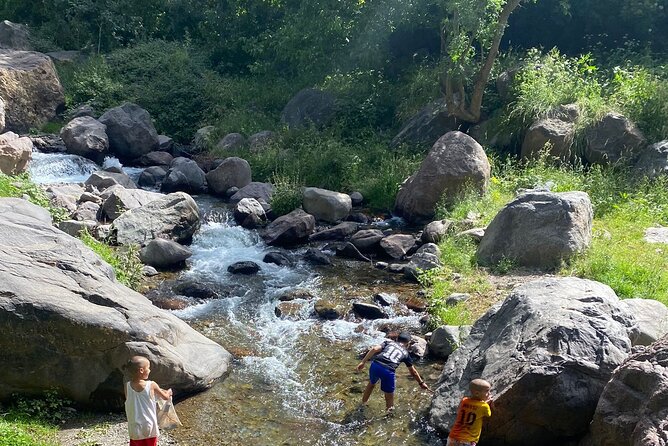 Desert Agafay and Atlas Mountains Day Tour & Camel ride From Marrakech - Who will enjoy this day most