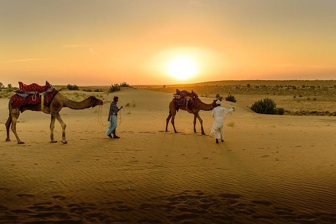 Desert Agafay & Atlas Mountains, Valleys & Waterfalls Tour from Marrakech - Berber villages and a family visit