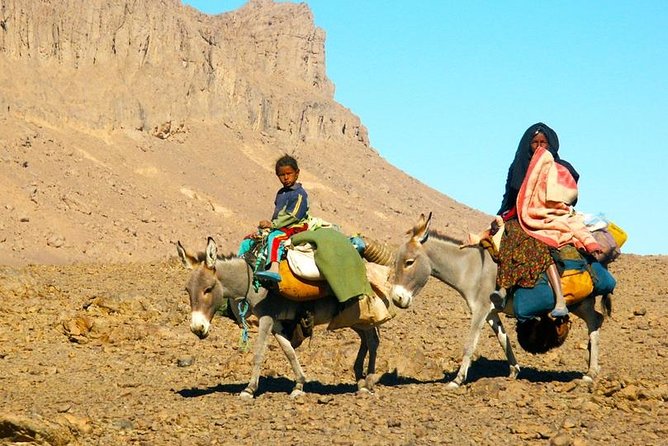 Desert Agafay & Atlas Mountains, Valleys & Waterfalls Tour from Marrakech - Food, comfort, and the real value at $17.38