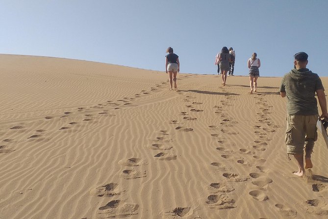 Desert and Wild Beach Day Trip with Meal - Key points to know before you book
