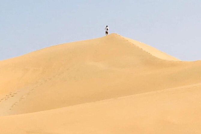 Desert and Wild Beach Day Trip with Meal - Big views over Youssef Ben Tachfine Dam