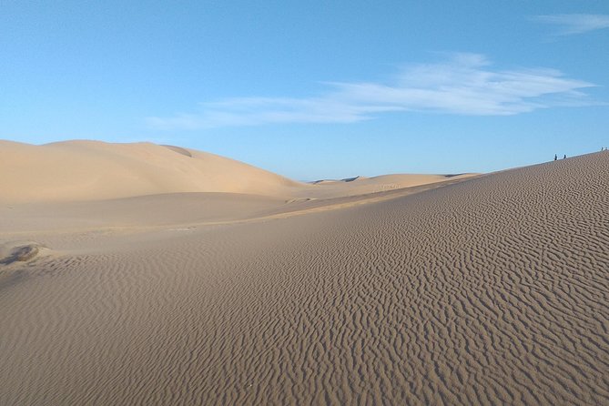 Desert and Wild Beach Day Trip with Meal - What the $52.34 price really covers