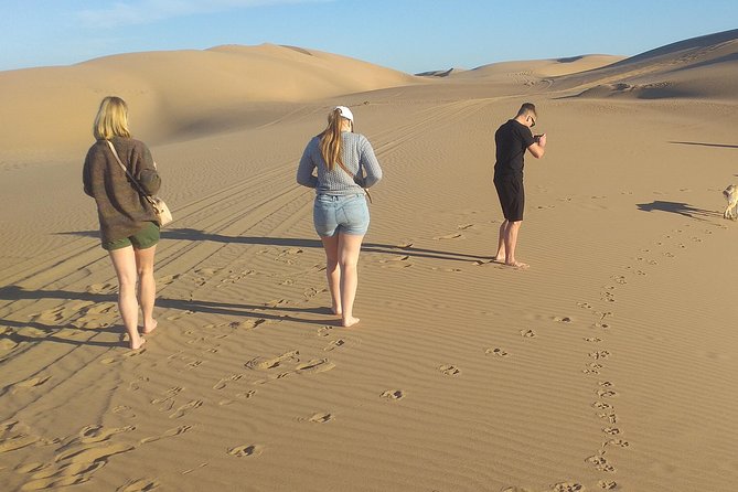 Desert and Wild Beach Day Trip with Meal - Who will enjoy this seven-hour day