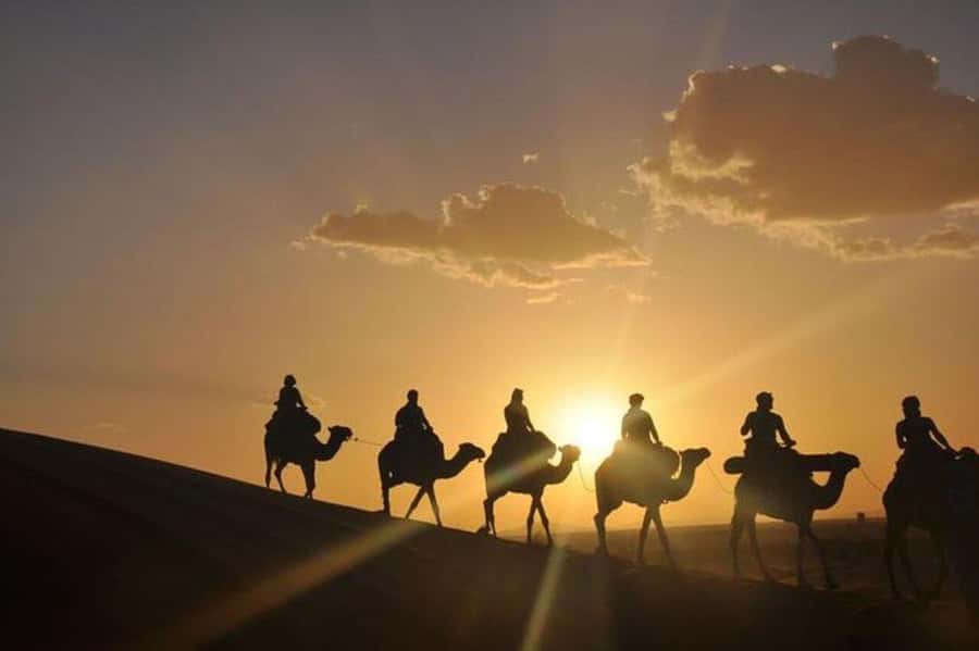 Desert & Beach Quad Adventure With Camel Ride - Quick take: what makes this outing worthwhile