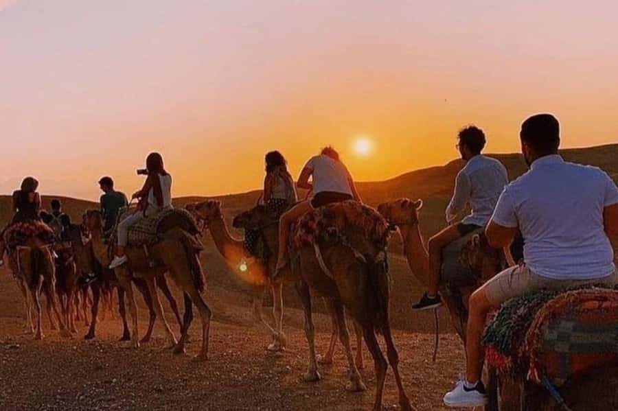 Desert & Beach Quad Adventure With Camel Ride - One and a half hours through sand, palms, and villages