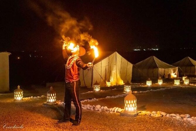 Desert D'Agafay Package - Quad, Dromedary and Dinner Show - Quick take on the Agafay evening
