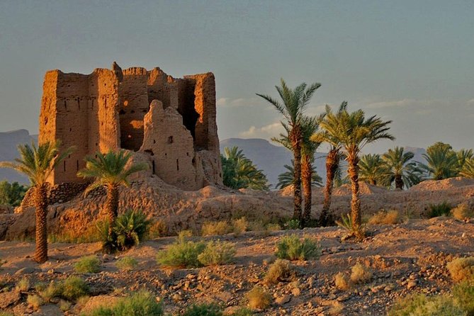 Desert Odyssey: A 2-Day Journey from Marrakech to Zagora - The road from Marrakech to the red-earth south