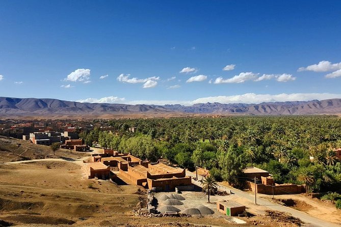 Desert Odyssey: A 2-Day Journey from Marrakech to Zagora - Sunrise and the return camel ride