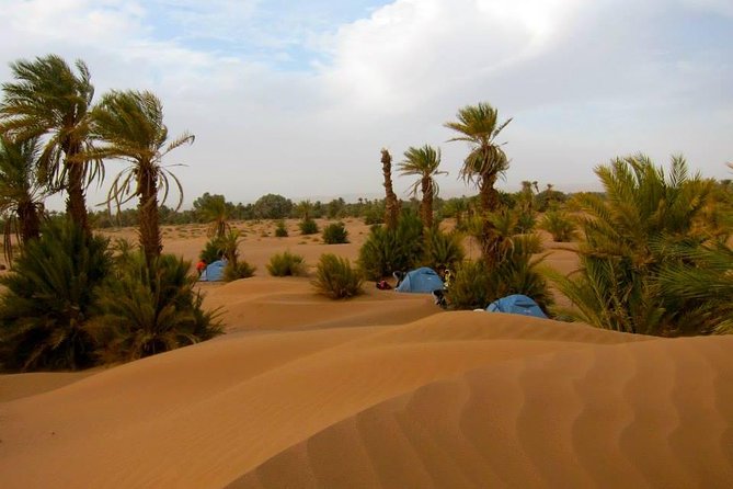 Desert Odyssey: A 2-Day Journey from Marrakech to Zagora - A brief look at Taourirt Kasbah in Ouarzazate