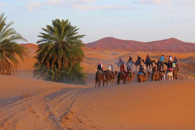 Desert Odyssey: A 2-Day Journey from Marrakech to Zagora - What the $75.31 price really covers