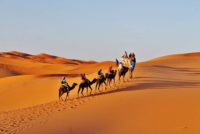 désert trip to merzouga dunes from marrakech - Is $471.07 per person fair value?