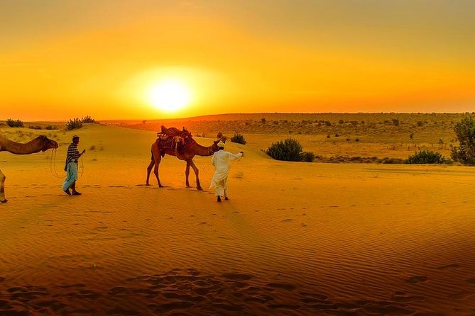 Dinner at Sunset & Camel ride in Marrakech desert Agafa - Timing, pickup, and cancellation details