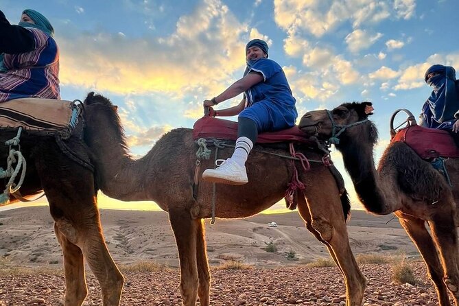 Dinner Show & camel ride with sunset views - Who will enjoy this evening most