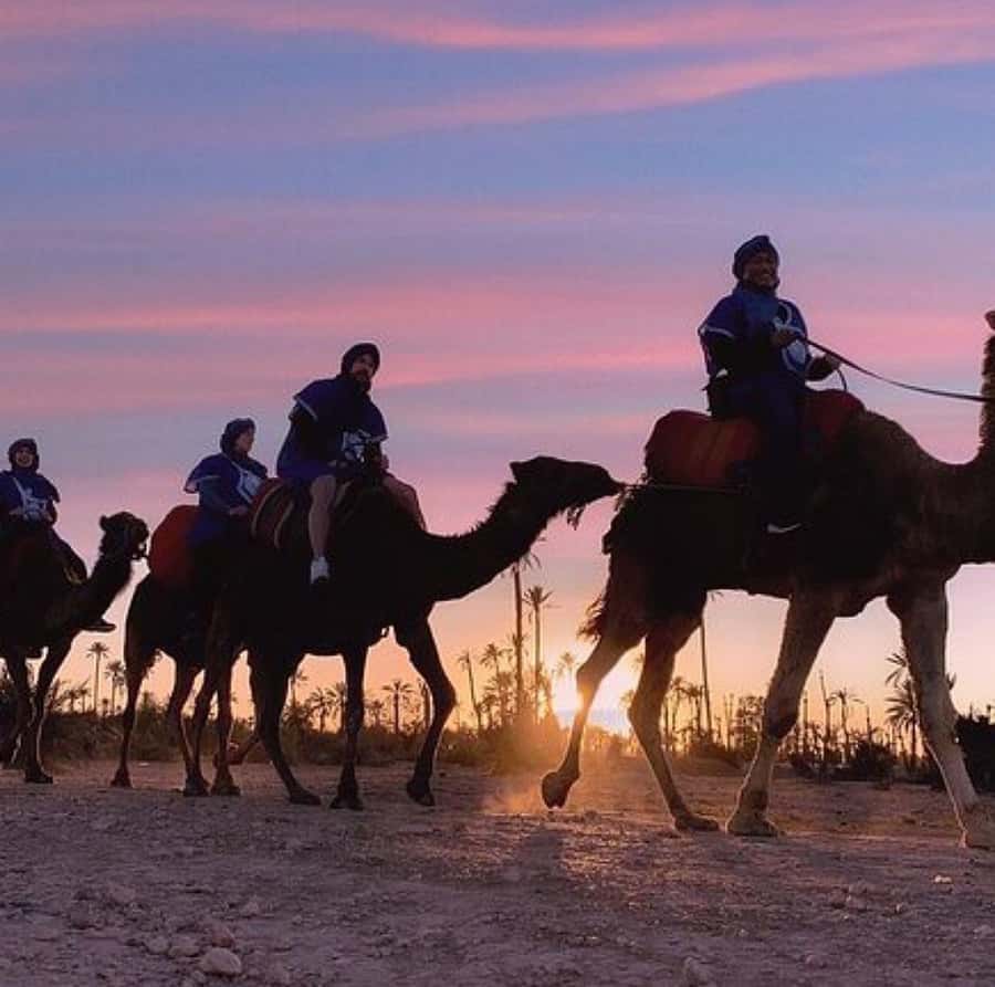 Dinner show in agafay Desert 1h quad bike & 20 min camels - Key points to know before you book